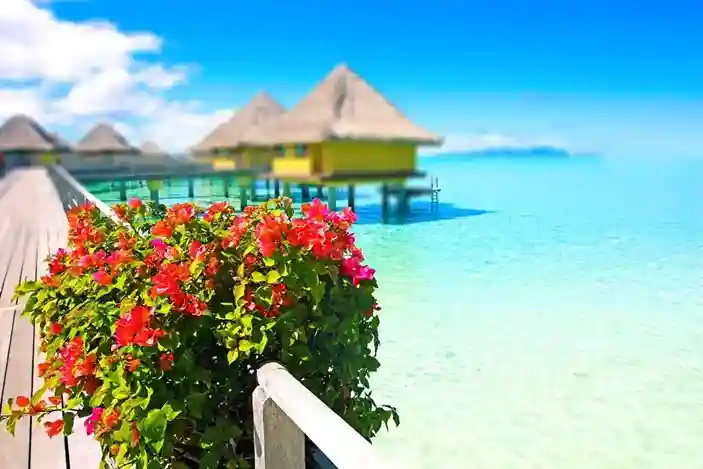 Popular Destinations